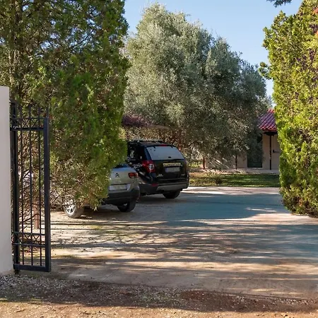 Authentic Anixi With Pool & Guest Σπίτι διακοπών Loukissia